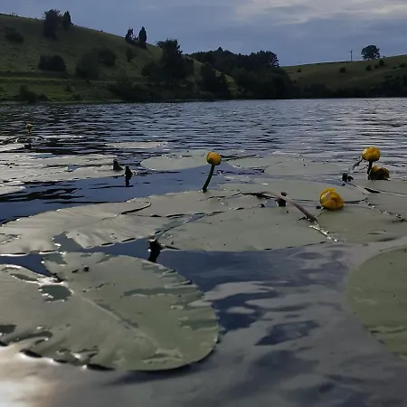 Διαμέρισμα Natureone