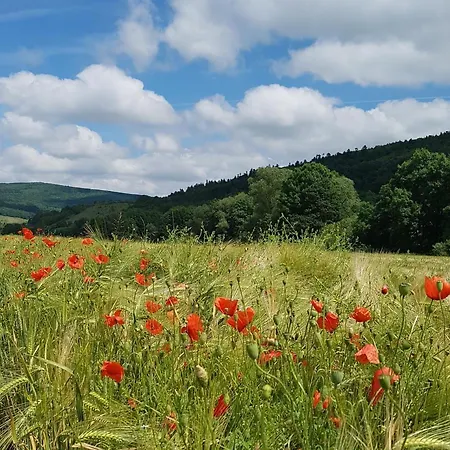 Natureone Διαμέρισμα *