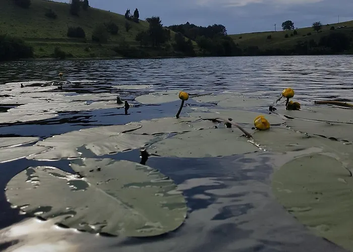 Appartement Natureone