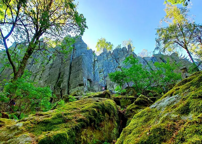 Natureone Kaltennordheim