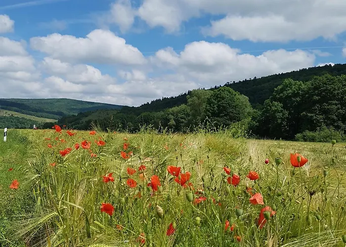 Natureone Appartement *