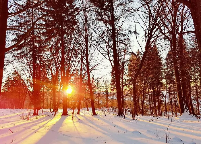 Natureone Appartement